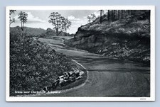 Country Road Scene Near Clarksville Arkansas AR UNP CT Photo Finish Postcard N13 picture