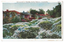 Santa Barbara California c1920's bungalows in winter, flowers, residence picture