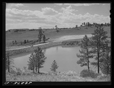 Photo:Lame Deer Montana 1941 Lyman Brewster Lease Cattle Reservoir picture