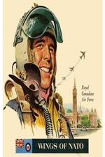 🇨🇦 Wings of NATO Poster - Canadian Air Force ✈️ 24x36” - 200GSM Paper🗞️ picture