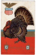 1909 M.W. Taggart Patriotic Thanksgiving Embossed Postcard Turkey w/Gold Accents picture