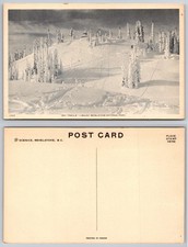 Ski Trails Mount Revelstoke National Park Postcard picture