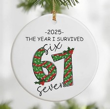 I Survived 6-7 Ornament 2025 Six Seven Viral TikTok Meme Trend Slang Funny Gift picture