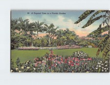 Postcard A Tropical Vista in a Florida Garden, Sunken Gardens, Florida picture
