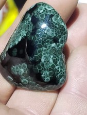 Extremly Rare Museum Size Isle Royal Greenstone Chlorastrolite Over 1 Ounce 29g picture