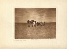 1908 Original Photogravure | Brining the Cedar - Arikara | Edward Curtis picture
