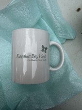 Kapalua Bay Hotel Vintage Iconic Coffee Mug Maui Hawaii picture