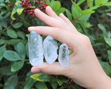 3 Pack Clear Quartz Crystal Points, 1 - 1.5