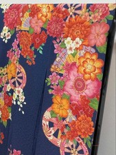 Furisode Kimono Long-sleeved temporary picture feathers, Kyo Yuzen, silver threa picture