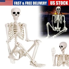 5.4FT Giant Halloween Human Skeleton Poseable Full Life Size Decor Party Prop US picture