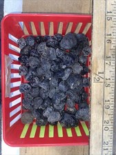 Apache tear rough 1 Lb. picture