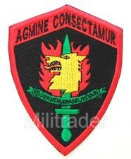 Norway Norwegian JegaerCoy Light Infantry Special Operations Forces Patch FC picture