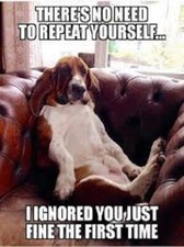 Funny Basset Hound  refrigerator magnet 3 1/2x 4 1/2 