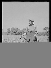 Photo:Southington Connecticut Gus Worke Farmer 1900s Field Portrait picture