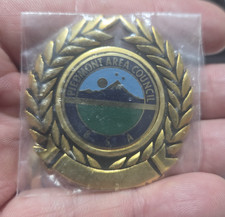 Piedmont Area Council Medallion  picture