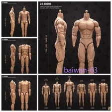 1/6 Muscular Male Action Figure Body for 12