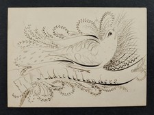 antique SPENCERIAN PENMANSHIP CARD bird ADDIE L FLANDERS new hampshire folk art picture