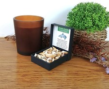 100% Genuine Shark Teeth Fossils 30g 50+ Otodus Sand Corax in Presentation Box picture