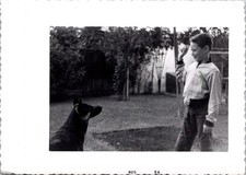 Boy Playing Fetch with Dog in Backyard, 1956 B&W Snapshot Photo picture