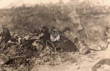 c1917 Dead Body Human Skull Barbed Wire Macabre WW1 Soldier RPPC Postcard COPY picture