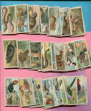 1908 JOHN PLAYER & SONS NATURE SERIES 50 TOBACCO CARD SET picture