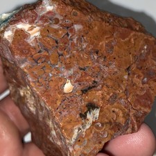Unique Brecciated Jasper Agate Rough Cabbing Stone 6.70 Oz picture