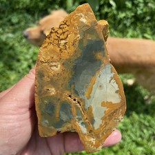 1 Pound 12.30 Oz Scenic Owyhee Jasper Lapidary Rough picture