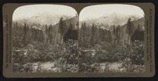 Imposing Castle Crags (6000 ft) west from Sacramento River, Northe- Old Photo picture