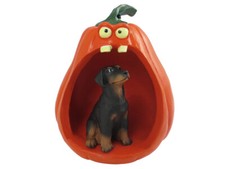 Doberman Pinscher Black w/Uncropped Ears Halloween Figurine and Spooky Pumpkin picture
