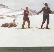 c1900s TW Ingersoll Stereoview #418 Bringing A Toboggan Load Into Camp Hunting picture