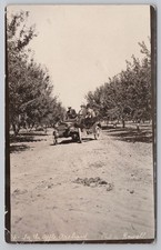 RPPC Posted 1914 Grants Pass OR Apple Orchard Men Automobile Car Photo Postcard picture