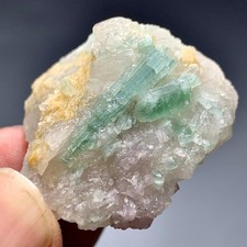 194 CT Terminated Natural Tourmaline Crystals Bunch with Quartz From Afghanistan picture
