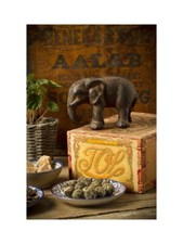 Cast Iron Elephant picture