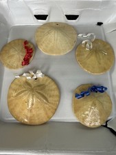 Lot Of Real Sand Dollar Ornaments, Handmade Real Shell Ornaments picture