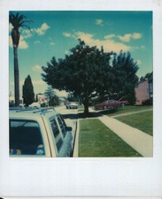 Old Vintage Photo COLOR POLAROID STREET SCENE PALM TREE STATION WAGON HOUSES picture