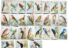 1918 J6 2nd Series Dwight's Soda Logo, Useful Birds, Blank Back , Near Complete picture