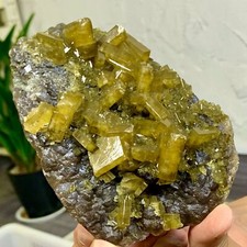 2.09LB Natural picture