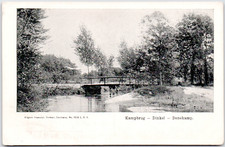 Netherlands Overijssel Denekamp Kampbrug Dinkel River Bridge Trees 1908 Postcard picture