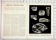 Early Man West Indies Archaeology Article Pages 1950s Caribbean History picture