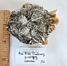 Crystal Gypsum Mineral $36 Red River Floodway, Canada  107.5 grams picture