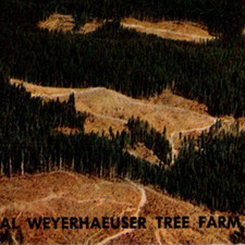 Vintage Chrome Aerial View Weyerhaeuser Tree Farm Customer Order Receipt Card picture