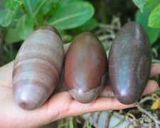 Original/Narmada shivling Original for Elongated Egg Narmadeshwar Shivling-723 picture