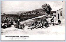 Vintage Zimbabwe HARARE Southern Rhodesia Tobacco Plantation 1950 picture