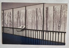 Postcard....Glen Vista in Winter at the Kalamazoo Nature Center in Michigan picture