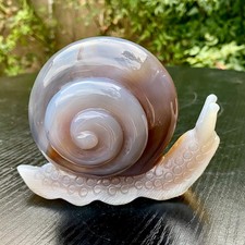 1.3LB  Natural Purple Agate Geode Snail Carving Crystal Animal Statue Home picture