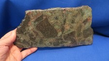 RARE Huge Patricianite Bright Copper Inclusions Only Found in Michigan 28.2 oz picture