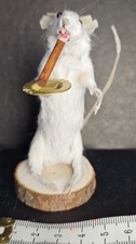 funny taxidermy CIGAR mouse gift for him or her picture