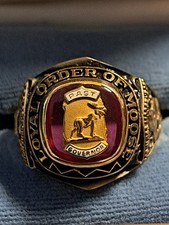 Vintage Loyal Order of Moose 10k Gold Men's Purple stone Ring picture