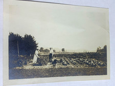 Vtg 1900s B&W snapshot photo farm labor garden couple Americana picture