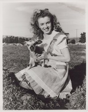 Hollywood Beauty MARILYN MONROE 1970s ANDRE DIENES STUNNING PORTRAIT Photo 703 picture
